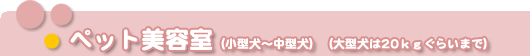 ペット美容室